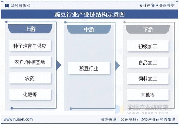 2026年中国豌豆行业产业链、供需现状及市场规模分析