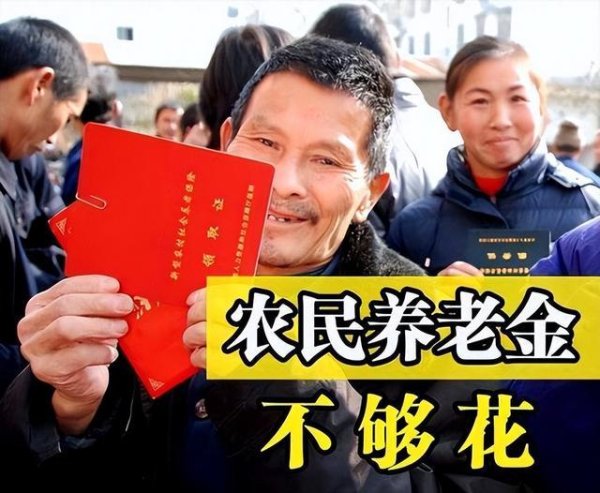 交过公粮的农村老人，养老金还没低保户一半多，建议提到500元