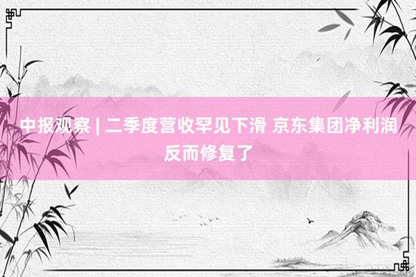 中报观察 | 二季度营收罕见下滑 京东集团净利润反而修复了