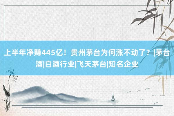 上半年净赚445亿！贵州茅台为何涨不动了？|茅台酒|白酒行业|飞天茅台|知名企业