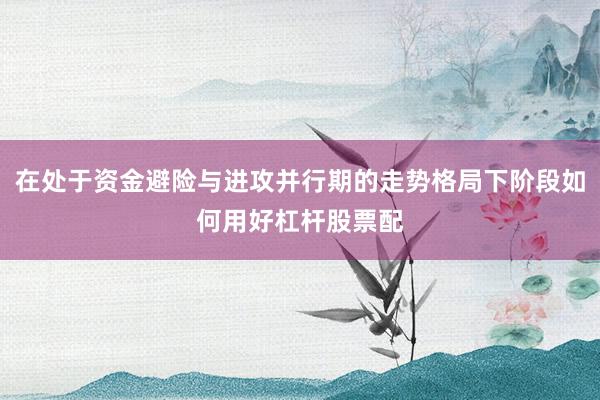在处于资金避险与进攻并行期的走势格局下阶段如何用好杠杆股票配