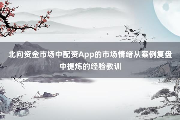 北向资金市场中配资App的市场情绪从案例复盘中提炼的经验教训