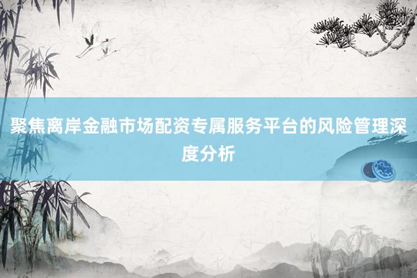聚焦离岸金融市场配资专属服务平台的风险管理深度分析