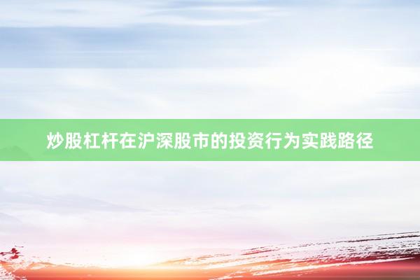 炒股杠杆在沪深股市的投资行为实践路径