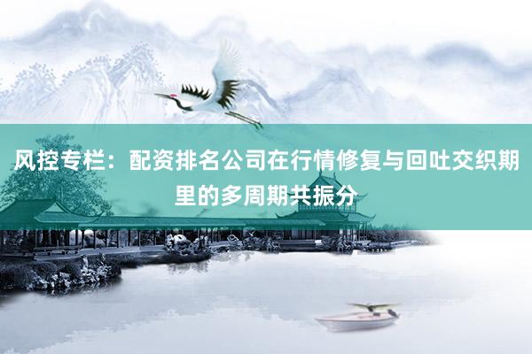 风控专栏：配资排名公司在行情修复与回吐交织期里的多周期共振分
