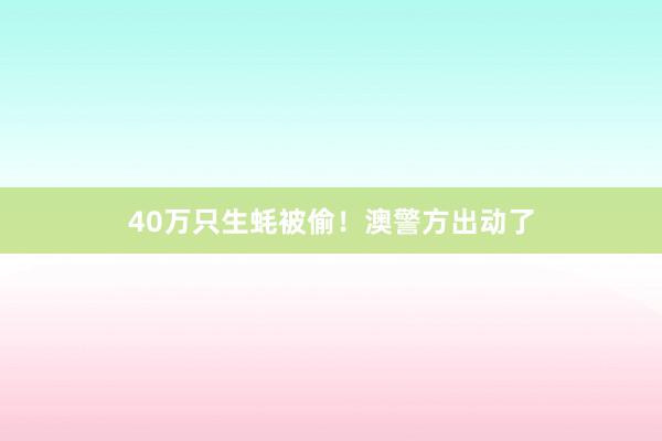 40万只生蚝被偷！澳警方出动了