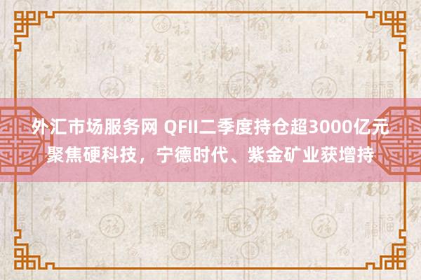 外汇市场服务网 QFII二季度持仓超3000亿元聚焦硬科技，宁德时代、紫金矿业获增持