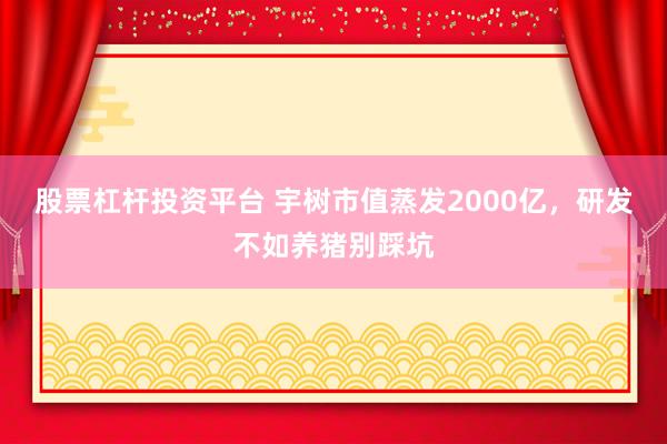 股票杠杆投资平台 宇树市值蒸发2000亿,研发不如养猪别踩坑