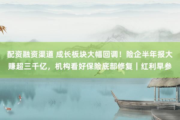 配资融资渠道 成长板块大幅回调！险企半年报大赚超三千亿，机构看好保险底部修复｜红利早参