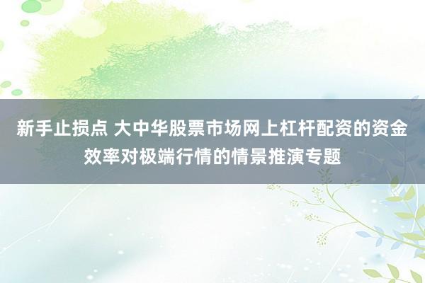 新手止损点 大中华股票市场网上杠杆配资的资金效率对极端行情的情景推演专题