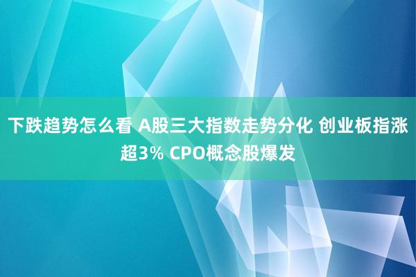 下跌趋势怎么看 A股三大指数走势分化 创业板指涨超3% CPO概念股爆发