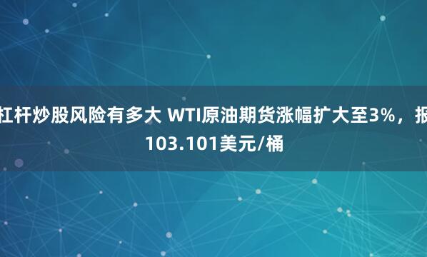 杠杆炒股风险有多大 WTI原油期货涨幅扩大至3%，报103.101美元/桶