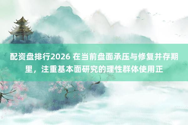配资盘排行2026 在当前盘面承压与修复并存期里，注重基本面研究的理性群体使用正